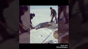 Как ставить сети зимой