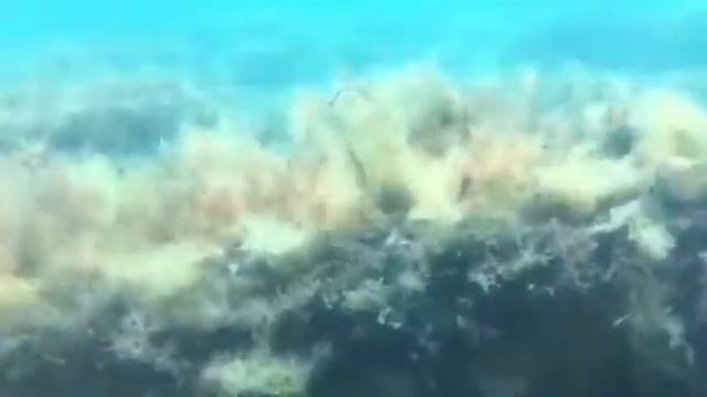 Что делать на изоляции?? ВКЛЮЧИ ВООБРАЖЕНИЕ