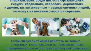 Буктрейлер" Доктор Айболит"