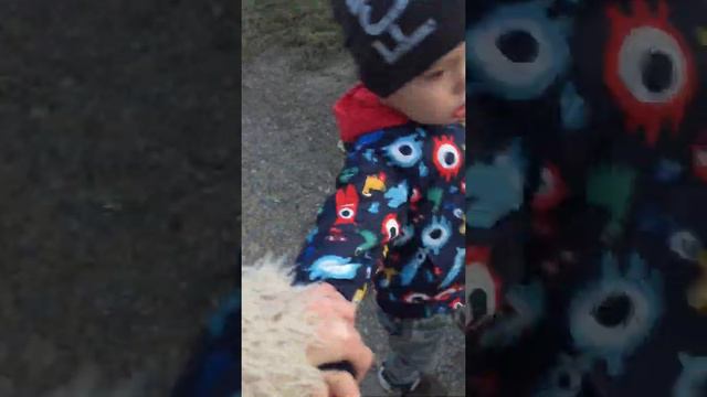 После спорта , адреналин ударил в голову маленького человека смотреть онлайн