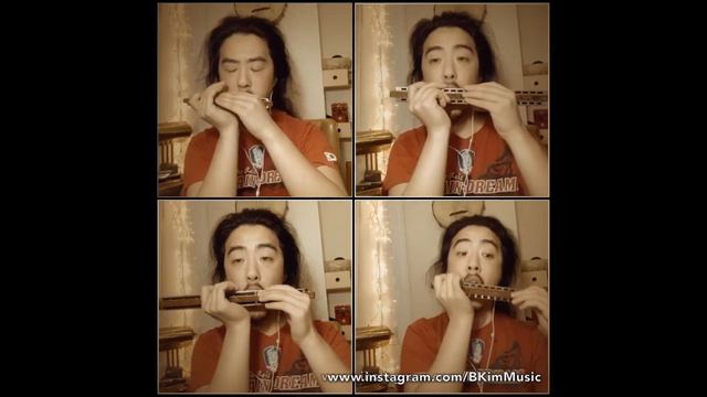 Polyphonia Harmonica Choir: "Ave Verum Corpus" -Mozart смотреть онлайн