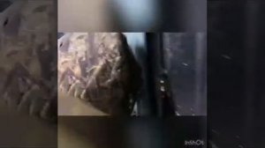 Рихтовка диска свинцовой кувалдой.