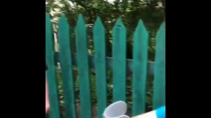 Иришка и Безумный Паша отдых на природе по Русски