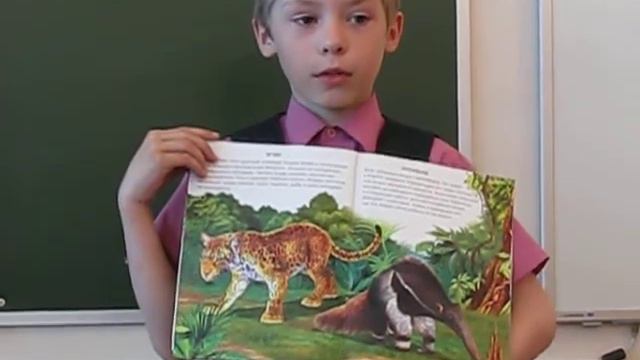 животные Южной Америки смотреть онлайн