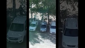 В Тольятти дети прыгают по машинам