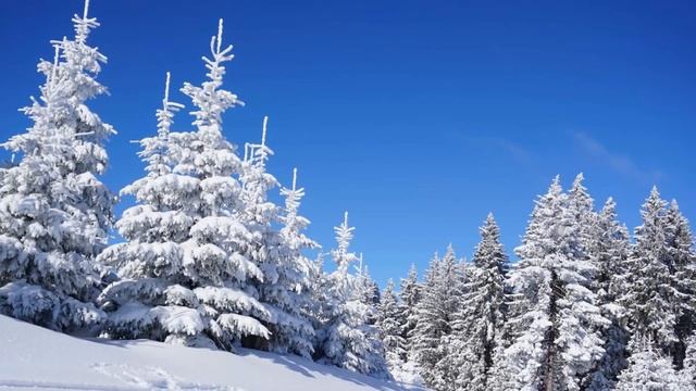 Красота зимней природы. Красивая музыка Эдгара Туниянца.