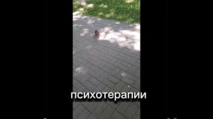 1000003248.mp4