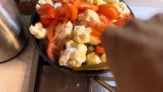 Женский влог : шпиц в памперсе  индийский таможенник  дискотека без музыки