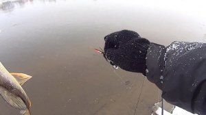 "Трофеи" Москва-Реки)) Ловля щуки на мандулу в Чулково. Спиннинг HEARTY RISE JIG FORCE