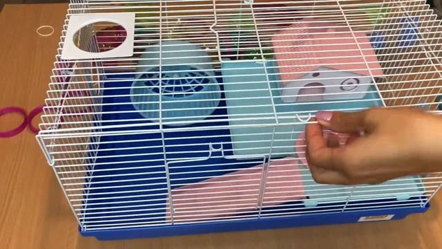 Клетка для джунгарского хомячка. Собираем клетку. Корм для хомяков. смотреть онлайн