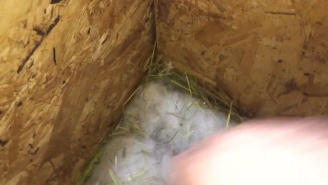 Новые обогревы маточников смотреть онлайн