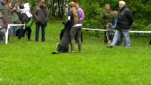 Цанкар смотреть онлайн