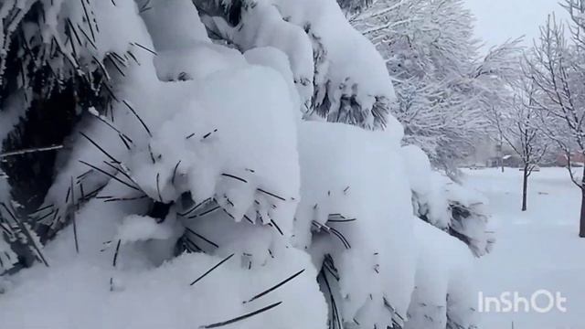 Ставрополь засыпало снегом!!!!😇😇😇❄❄❄Stavropol was covered with snow!!!