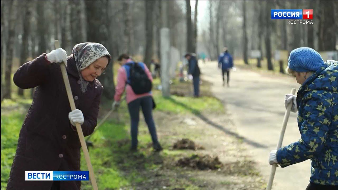 Сайт горожанам. Субботник Кострома. Субботник Вологда. Уборка мусора в парках. Субботник снег.