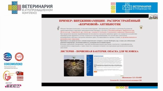 Novikova O.B. Lecture on problems of listeriosis in poultry farms смотреть онлайн