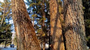 С днём рождения, Ванечка)))