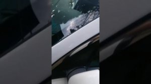 Какое лобовое стекло поставить на KIA /HYUNDAI?
