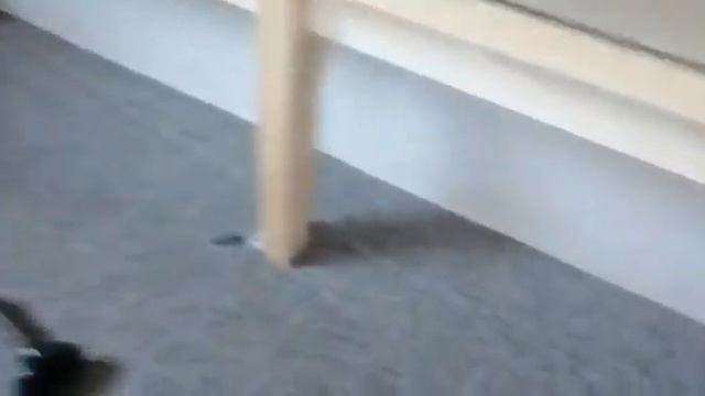 Обзор 3-хзонного (6 мест) Европейского каравана ADRIA смотреть онлайн