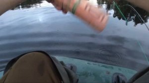 РЫБАЛКА НА ЛЕСНОМ ОЗЕРЕ! ЛОВЛЯ ЩУКИ НА СПИННИНГ И КРУЖКИ!