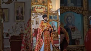 Какова роль женщины в Церкви?