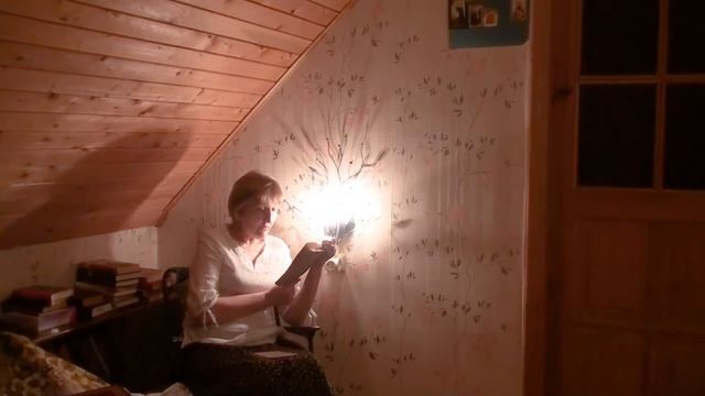 Детские годы Багрова внука (С. Аксаков) - Центральная библиотека смотреть онлайн