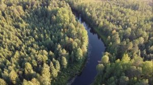 Релакс. Наша северная природа с высоты птичьего полёта. Влог на даче.
