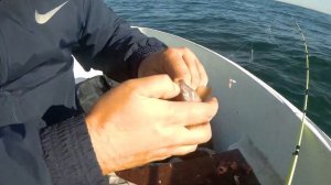 Ловля бычка в Чёрном море с лодки. Морская рыбалка в Одессе