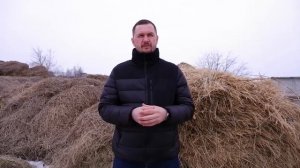 Биологические фунгициды "Имуназот" на основе бактерии Pseudomonas и "Грибофит" на основе триходермы
