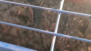 Замес арболита