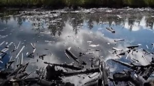 Россия перед Вторым Пришествием. Пророчества русских святых. 1 часть.