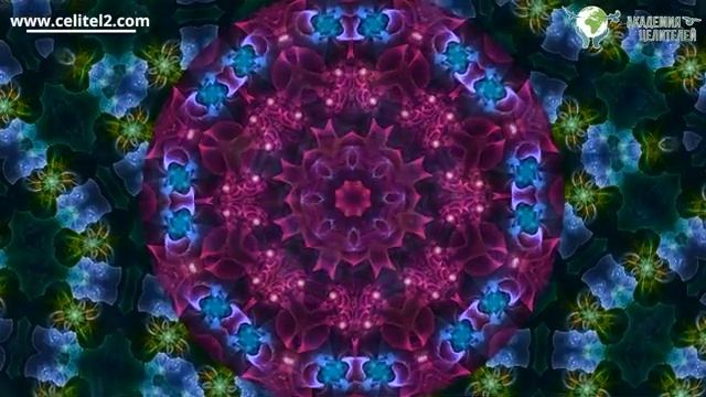 Медитация «Я - долгожитель». Николай Пейчев. смотреть онлайн