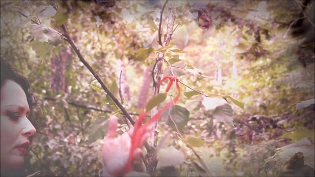 Rose Of Steel - Я Сегодня Станцую С Тобой смотреть онлайн