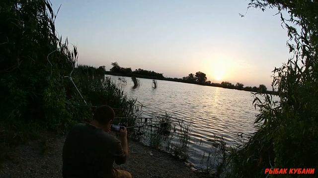 как поймать крупного толстолобика на базе камыши смотреть онлайн