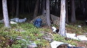 Река Чара. Сказ 1