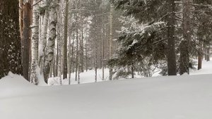 ТАКОГО ПРЕДАТЕЛЬСТВА ОТ ЖЕНЫ ОН НЕ ОЖИДАЛ | Истории из жизни.
