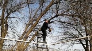 Первые работы в саду
