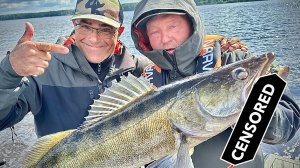 НА ЧТО КЛЮЁТ У ЧУЛАНОВА? Подготовка к PAL24