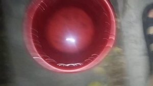 Обливание Холодной Водой #1