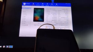 Купил iPad Mini 4 до 5.000 рублей. Путь до планшета.