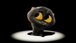 Серый котик