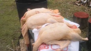 Тушки гусей ,вес, сезон 2022