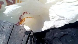 Рыбалка с пирса в Балаклаве