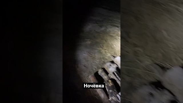 Ночевка в лесу на току смотреть онлайн