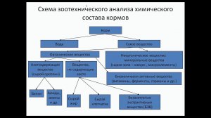 Козина Е.А.  Оценка питательности кормов по содержанию питательных и биологически активных веществ