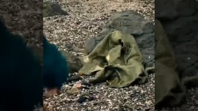 хюррем ищет  мехмета