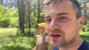 Место, где вас не найдут: Икарус в тайге / Тюменская область / @eto_stories