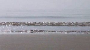 Nothing Happening By The Sea ... Chris Rea (Ludo's song)