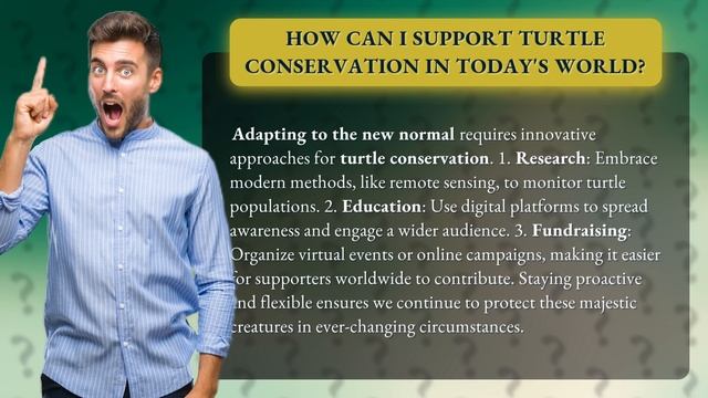 How Can I Support Turtle Conservation in Today's World? смотреть онлайн