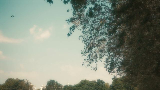 A day in Richmond, UK | Ted Lasso | Cinematic film | Sony A7RV | смотреть онлайн