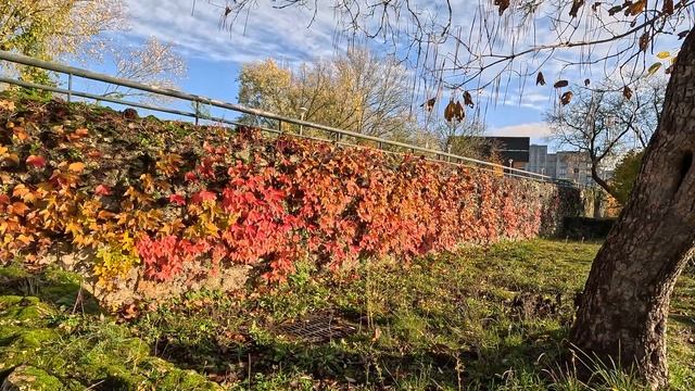 Романтический саксофон - Вы слишком далеко смотреть онлайн